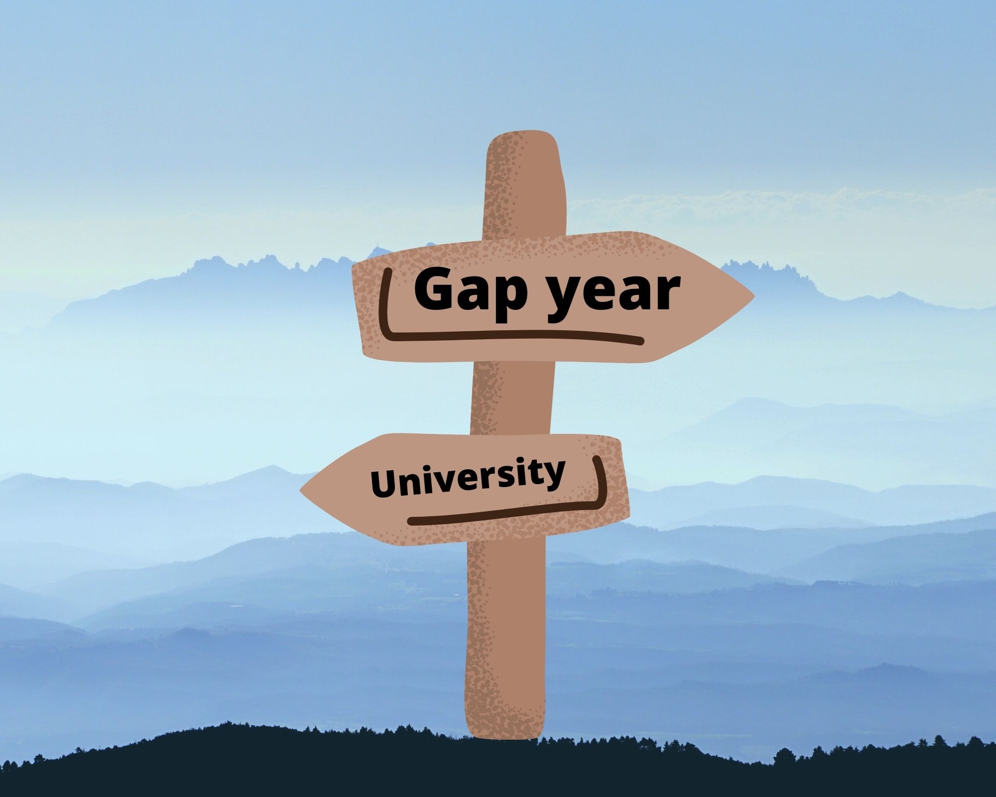 Cultural Immersion: Gap Year Programs That Let You Live Like a Local