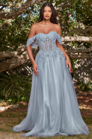 Trending Insights and Statistics Behind Choosing the Perfect Evening Dress in Dresden